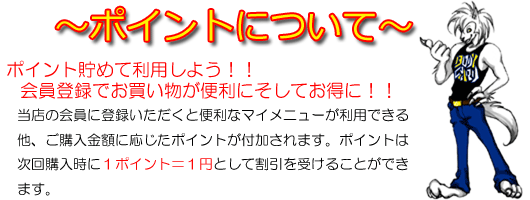 ポイントについて
